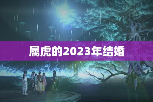 属虎的2023年结婚