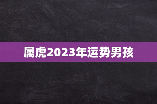 属虎2023年运势男孩