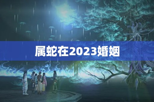 属蛇在2023婚姻