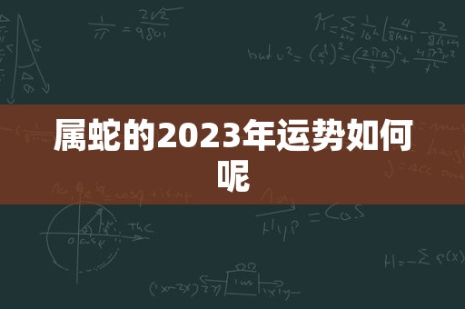 属蛇的2023年运势如何呢