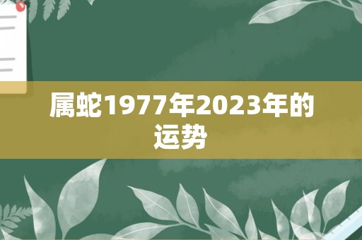 属蛇1977年2023年的运势