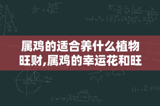 属鸡的适合养什么植物旺财,属鸡的幸运花和旺财花