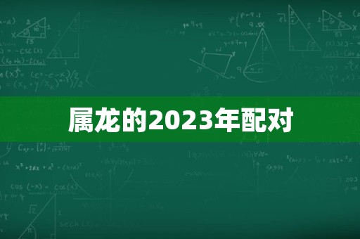 属龙的2023年配对