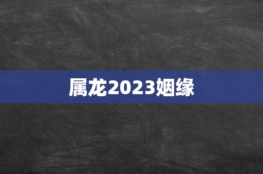 属龙2023姻缘