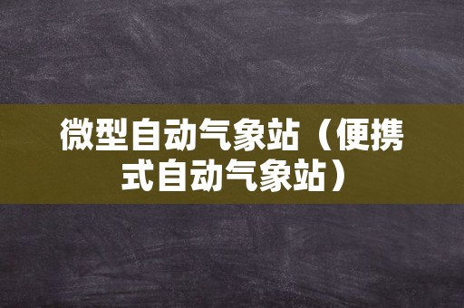 微型自动气象站（便携式自动气象站）