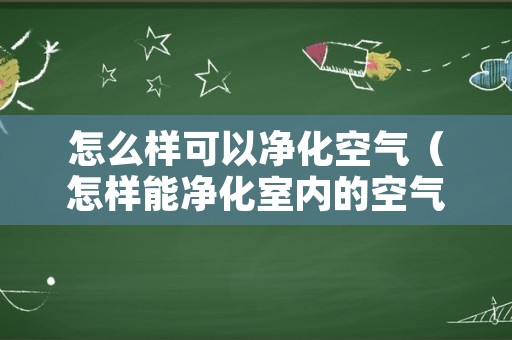 怎么样可以净化空气（怎样能净化室内的空气）