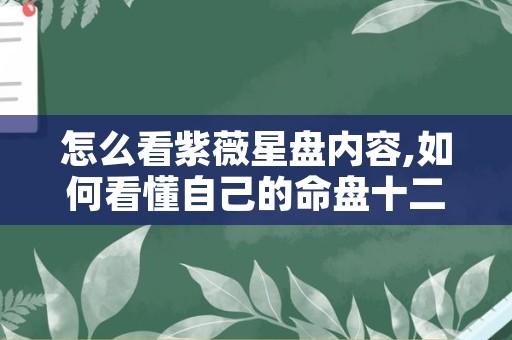 怎么看紫薇星盘内容,如何看懂自己的命盘十二宫