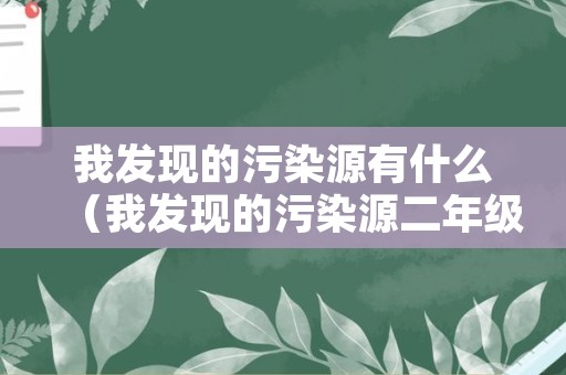 我发现的污染源有什么（我发现的污染源二年级）