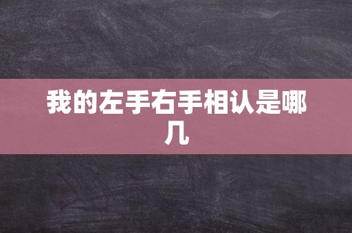 我的左手右手相认是哪几