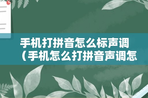 手机打拼音怎么标声调（手机怎么打拼音声调怎么标）