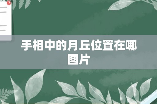 手相中的月丘位置在哪图片