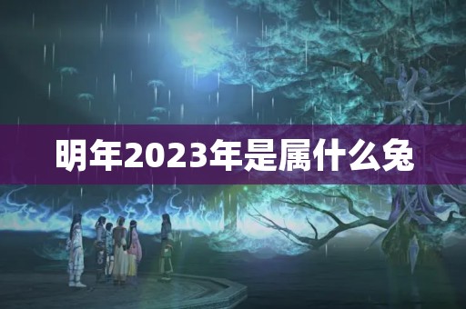 明年2023年是属什么兔