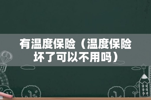 有温度保险（温度保险坏了可以不用吗）