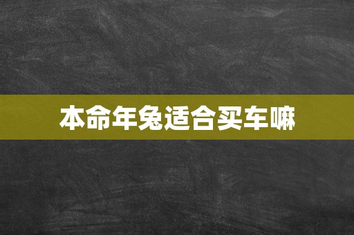 本命年兔适合买车嘛