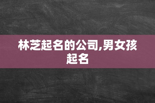 林芝起名的公司,男女孩起名