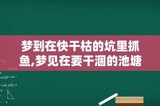 梦到在快干枯的坑里抓鱼,梦见在要干涸的池塘里捉鱼