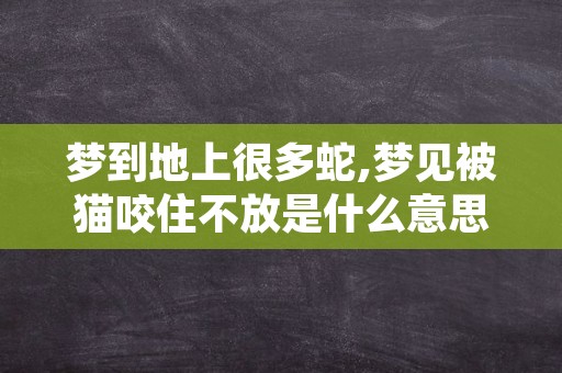 梦到地上很多蛇,梦见被猫咬住不放是什么意思