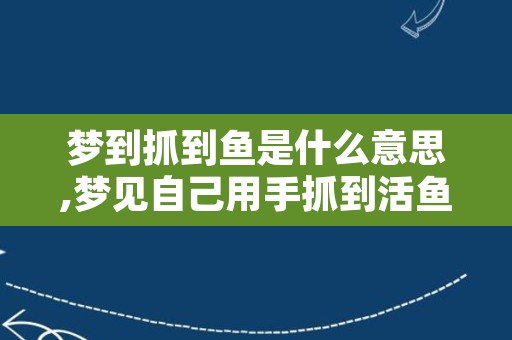 梦到抓到鱼是什么意思,梦见自己用手抓到活鱼