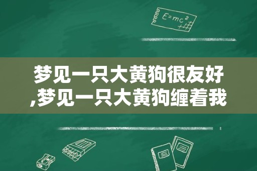 梦见一只大黄狗很友好,梦见一只大黄狗缠着我