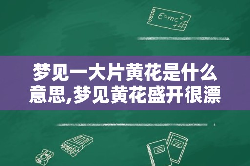 梦见一大片黄花是什么意思,梦见黄花盛开很漂亮