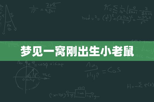 梦见一窝刚出生小老鼠