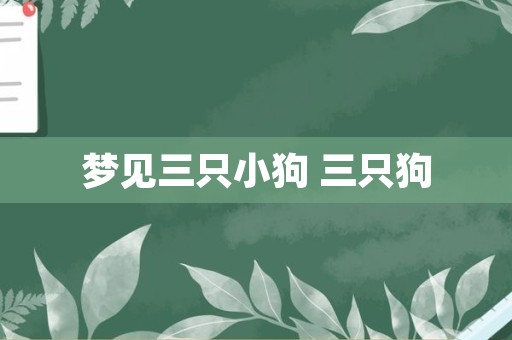 梦见三只小狗 三只狗