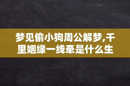 梦见偷小狗周公解梦,千里姻缘一线牵是什么生肖或数字