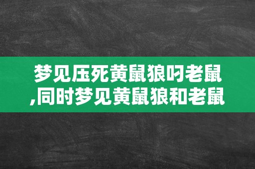 梦见压死黄鼠狼叼老鼠,同时梦见黄鼠狼和老鼠