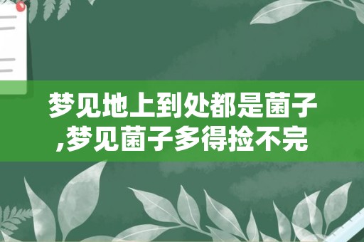 梦见地上到处都是菌子,梦见菌子多得捡不完