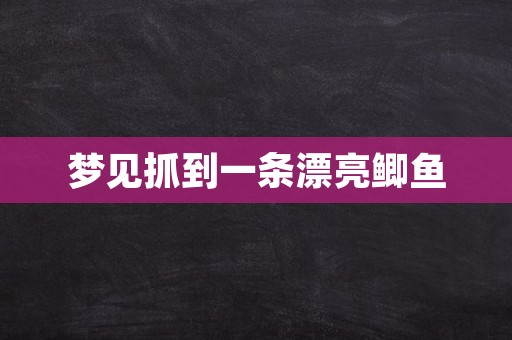 梦见抓到一条漂亮鲫鱼