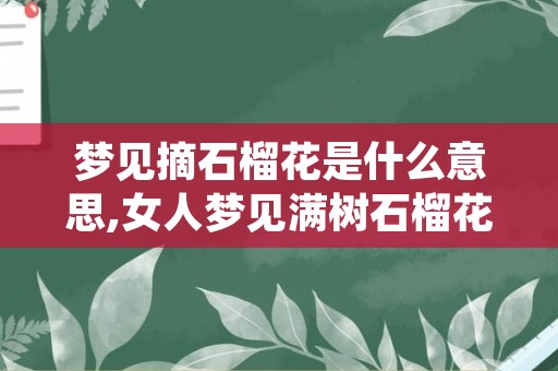 梦见摘石榴花是什么意思,女人梦见满树石榴花