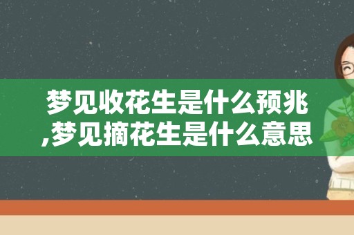 梦见收花生是什么预兆,梦见摘花生是什么意思有什么预兆