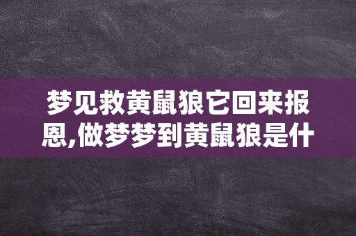 梦见救黄鼠狼它回来报恩,做梦梦到黄鼠狼是什么意思