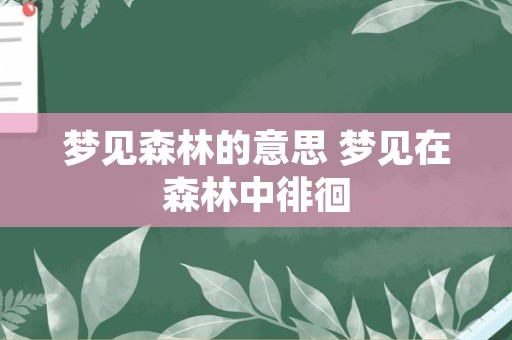 梦见森林的意思 梦见在森林中徘徊