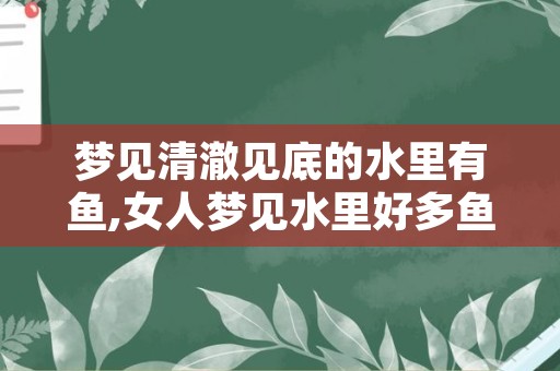 梦见清澈见底的水里有鱼,女人梦见水里好多鱼游来游去