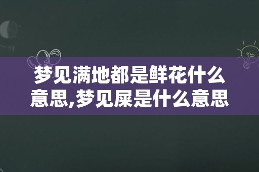 梦见满地都是鲜花什么意思,梦见屎是什么意思