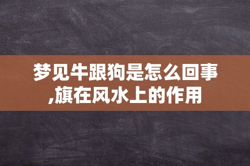 梦见牛跟狗是怎么回事,旗在风水上的作用