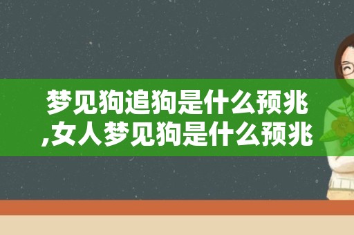 梦见狗追狗是什么预兆,女人梦见狗是什么预兆