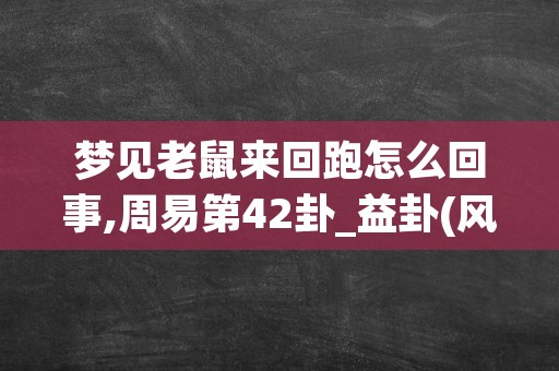 梦见老鼠来回跑怎么回事,周易第42卦_益卦(风雷益)