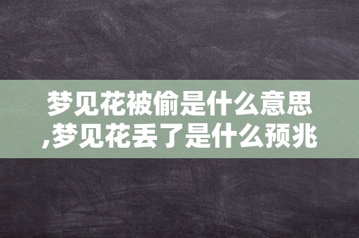 梦见花被偷是什么意思,梦见花丢了是什么预兆