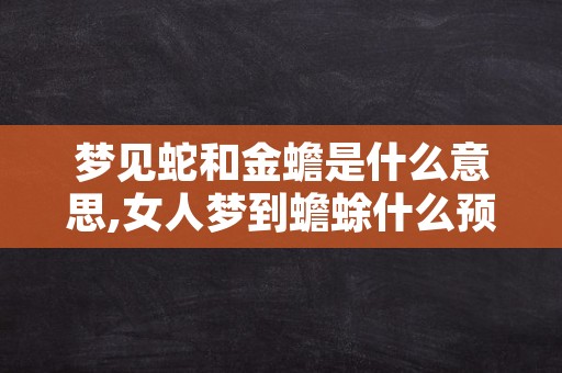 梦见蛇和金蟾是什么意思,女人梦到蟾蜍什么预兆