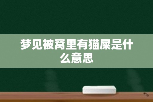 梦见被窝里有猫屎是什么意思