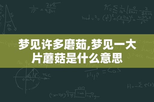 梦见许多磨茹,梦见一大片蘑菇是什么意思