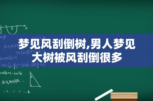 梦见风刮倒树,男人梦见大树被风刮倒很多