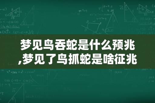 梦见鸟吞蛇是什么预兆,梦见了鸟抓蛇是啥征兆