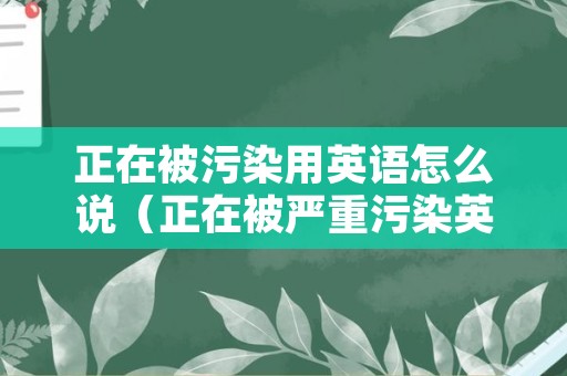 正在被污染用英语怎么说（正在被严重污染英语）