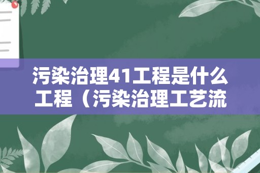 污染治理41工程是什么工程（污染治理工艺流程图）