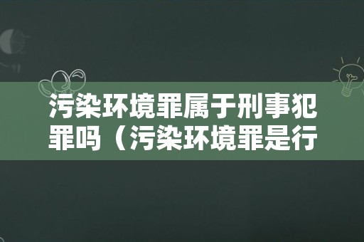 污染环境罪属于刑事犯罪吗（污染环境罪是行为犯吗）