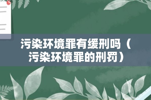 污染环境罪有缓刑吗（污染环境罪的刑罚）