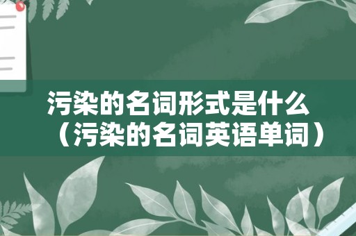 污染的名词形式是什么（污染的名词英语单词）